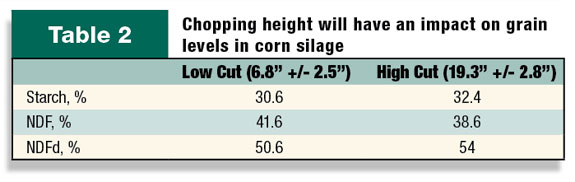 Chopping height will have an impact on grain levels in corn silage