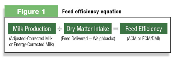 Feed efficiency equation