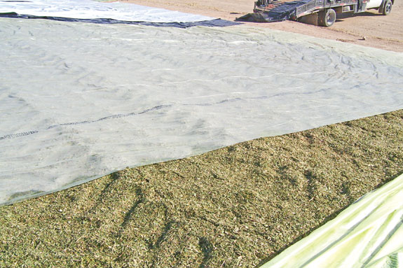 Spruce Lane Dairies Ltd bunker silos