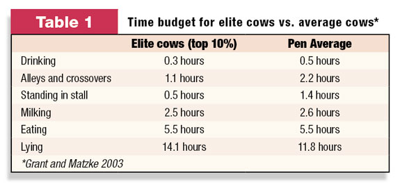 Time budget for elite cows vs. average cows