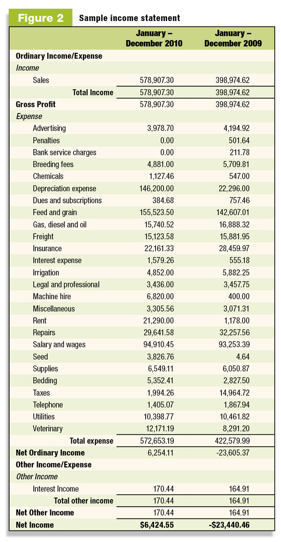 Sample income statement
