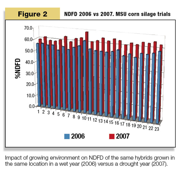 NDFD 2006 vs 2007 MSU corn silage trials