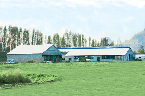 Dicklands Farms