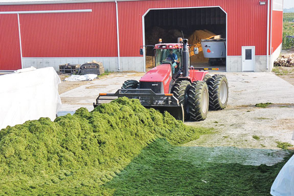 Evert Veldhuizen Veldale Farms