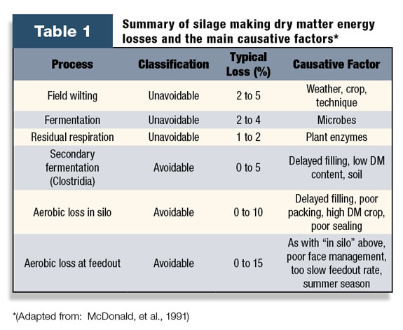 Summary of silage making dry energy matter losses and the main causative factors