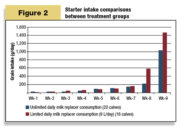 Starter intake comparisons between treatment groups