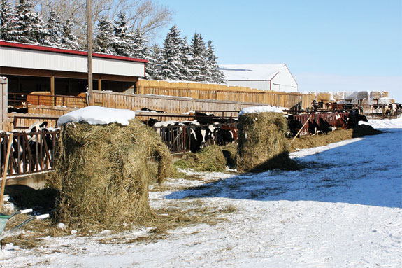 Ten Brummelhuis Dairy Ltd.